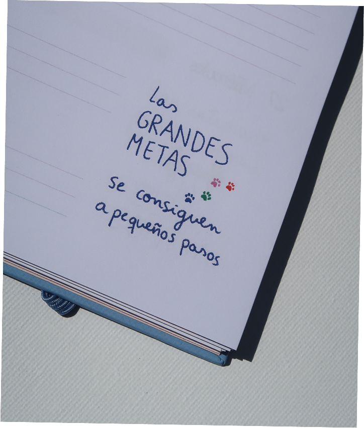 Interior de la agenda opositora con ilustraciones originales